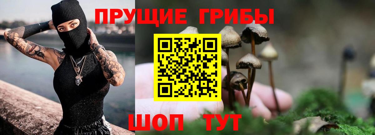 где купить наркоту  Вход с VPN  Бердск  Галлюциногенные грибы Psilocybe  Галлюциногенные грибы GOLDEN TEACHER 
